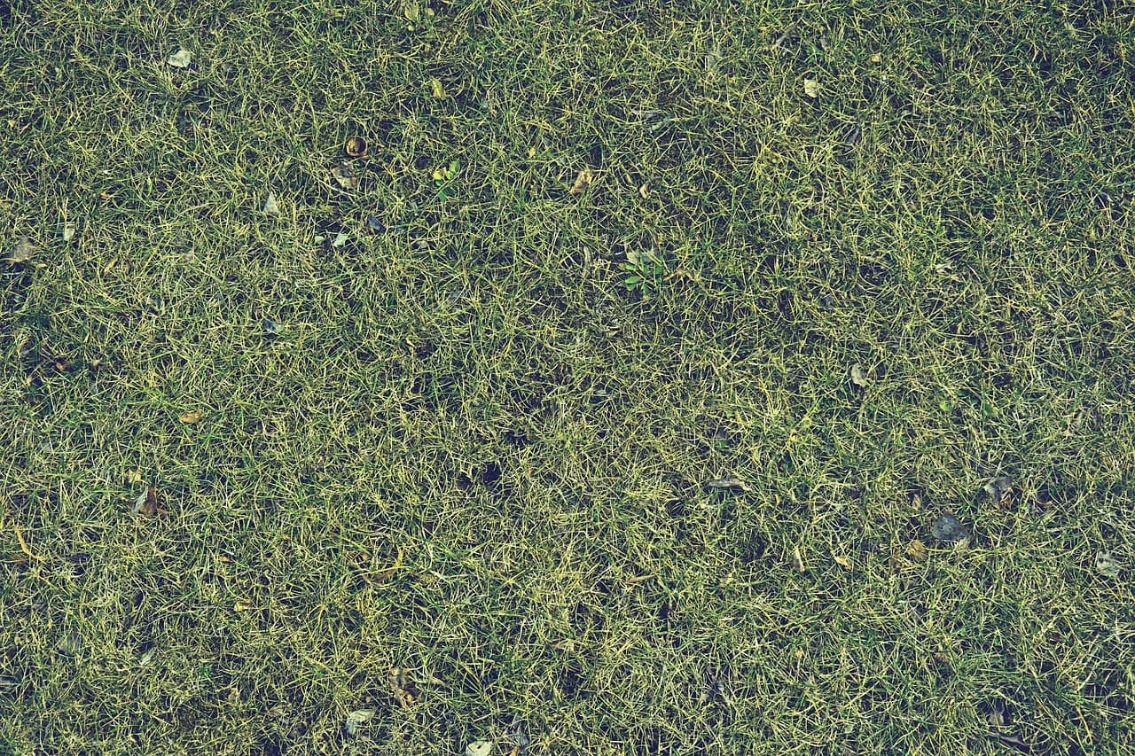 Best Lawn Care Software for 2026: Scheduling, Routing & Billing