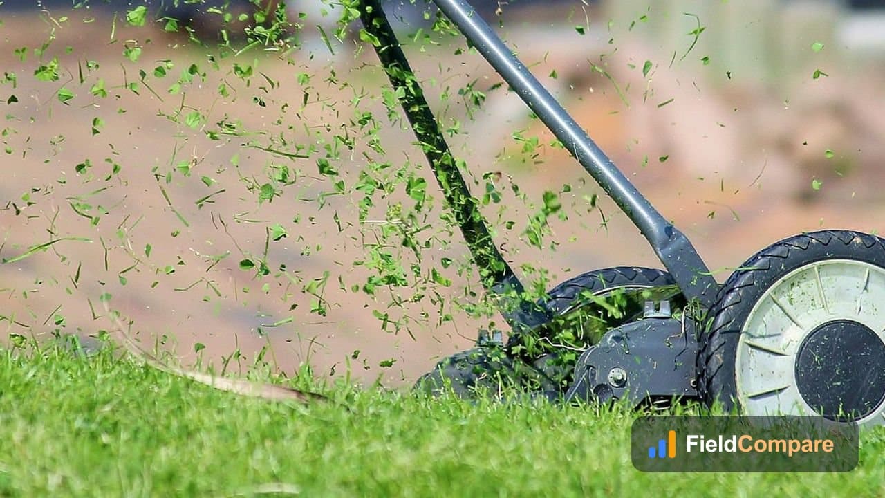 Person mowing a green residential lawn with a walk-behind mower
